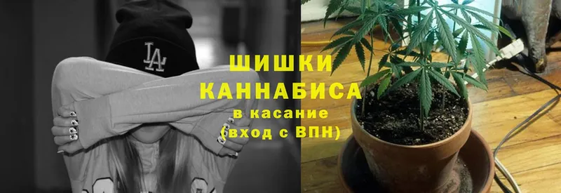 хочу наркоту  Томск  Бошки марихуана OG Kush 